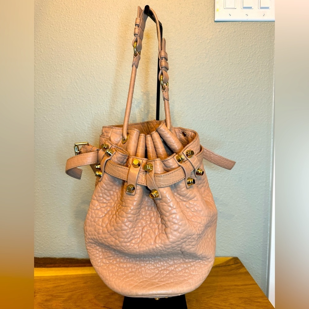 AUTHENTIC Alexander Wang Diego bucket bag